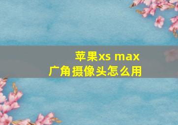 苹果xs max广角摄像头怎么用